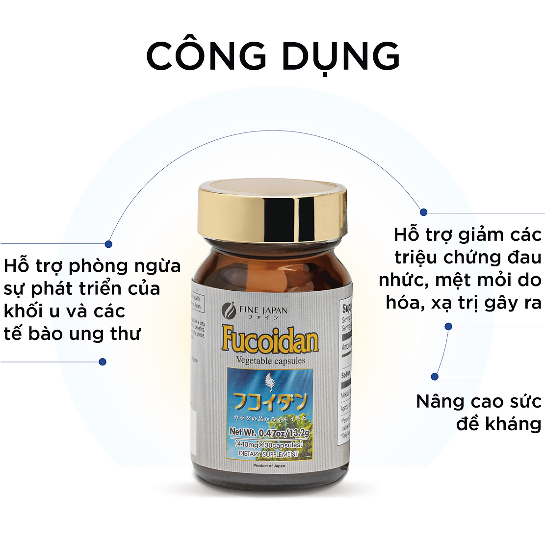 Fine Japan Fucoidan from Wakame Mekabu & Agaricus Mushroom
