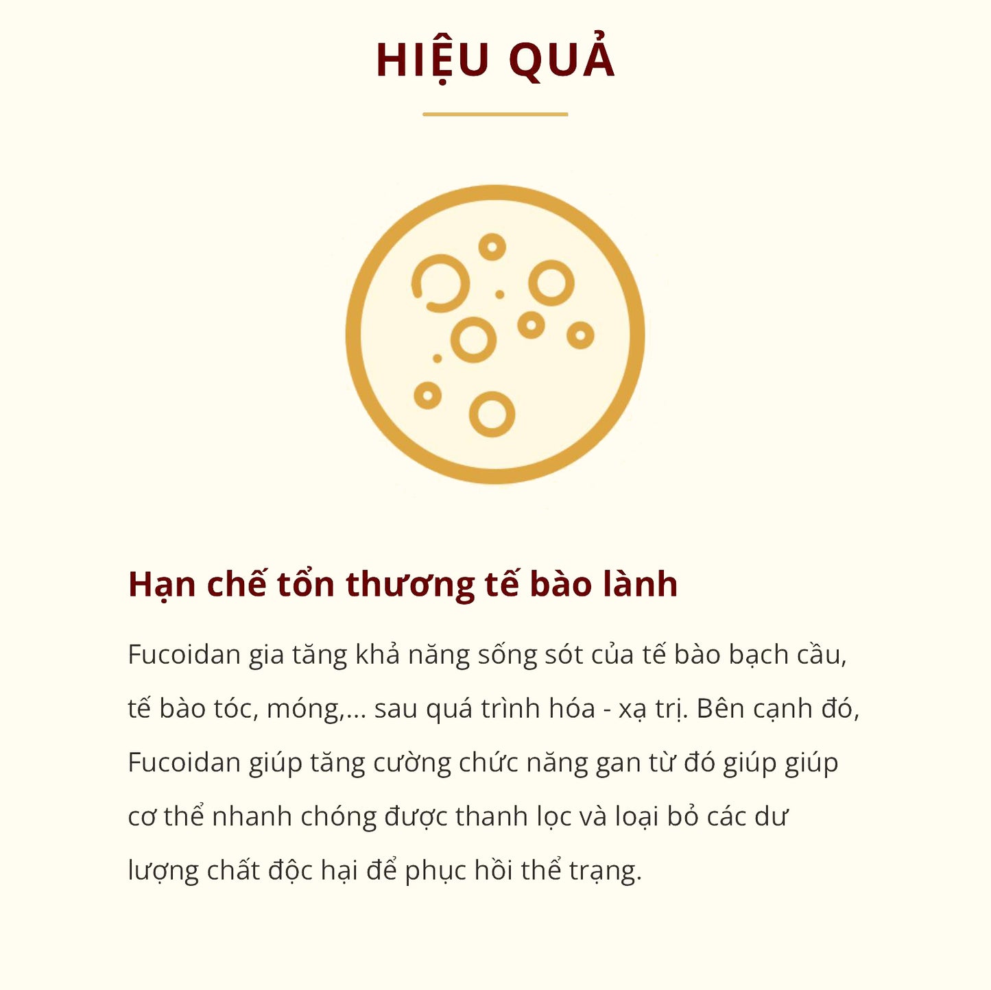 SEIMEI HIMITSU FUCOIDAN LIQUID - Thức uống phức hợp Fucoidan cao cấp - Phức hợp Fucoidan cao cấp
