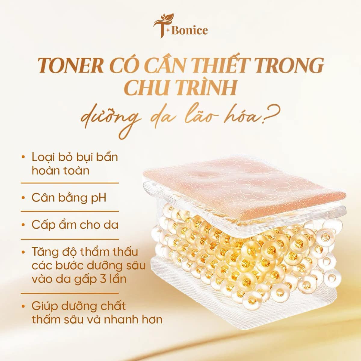 T-Bonice Divine Peptide Essence Toner & Perfect peptide anti aging moisturizer
