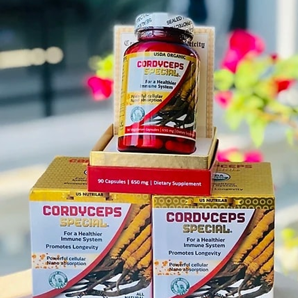 Nấm Cordyceps Đặc Biệt USDA Organic™ – Cordyceps Đỏ Cao Cấp (90 Viên)