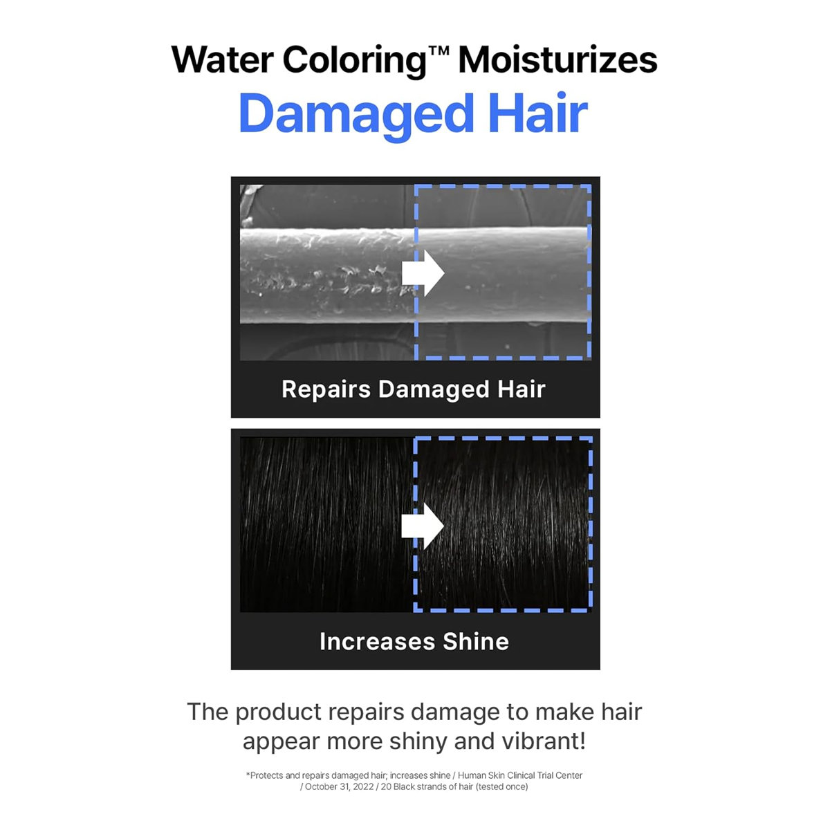 SEEDBEE Water Coloring™ Permanent Hair Dye – Wine Brown | Full Gray Coverage | Sensitive-Skin & Vegan (3×10 g)