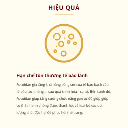 SEIMEI HIMITSU FUCOIDAN LIQUID - Thức uống phức hợp Fucoidan cao cấp - Phức hợp Fucoidan cao cấp