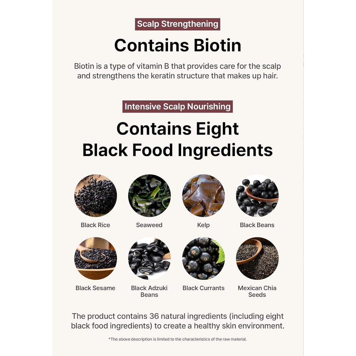 SEEDBEE Water Coloring™ Permanent Hair Dye – Wine Brown | Full Gray Coverage | Sensitive-Skin & Vegan (3×10 g)