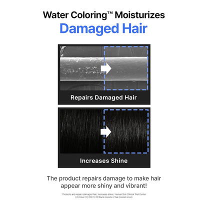 SEEDBEE Water Coloring™ Permanent Hair Dye – Wine Brown | Full Gray Coverage | Sensitive-Skin & Vegan (3×10 g)